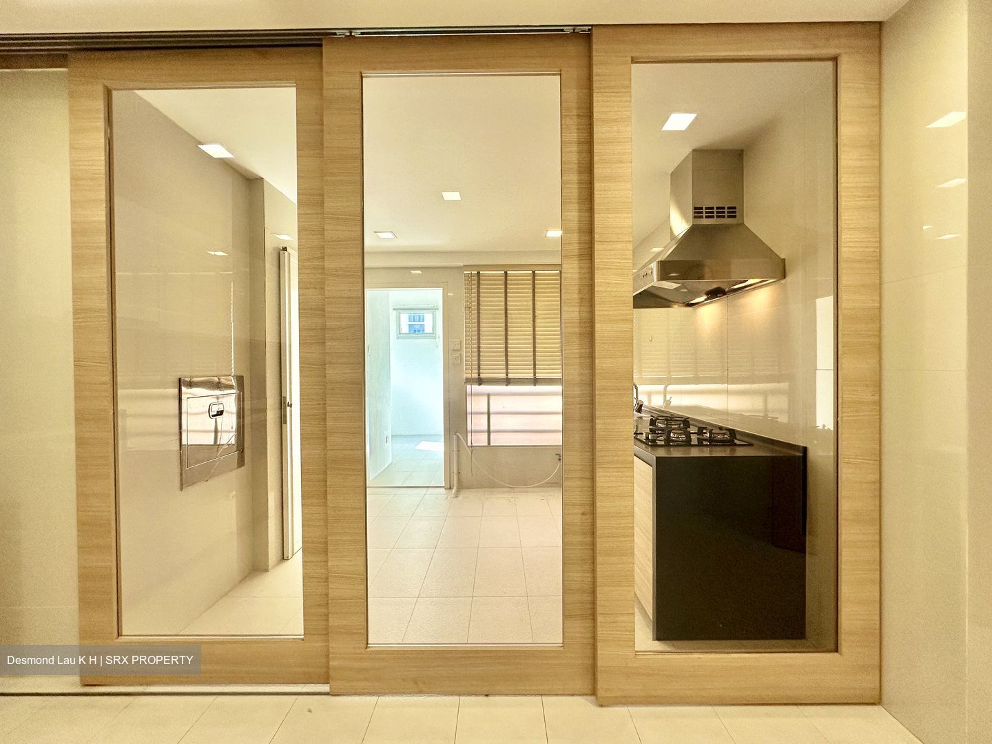 Parkshore (D15), Condominium #579043661